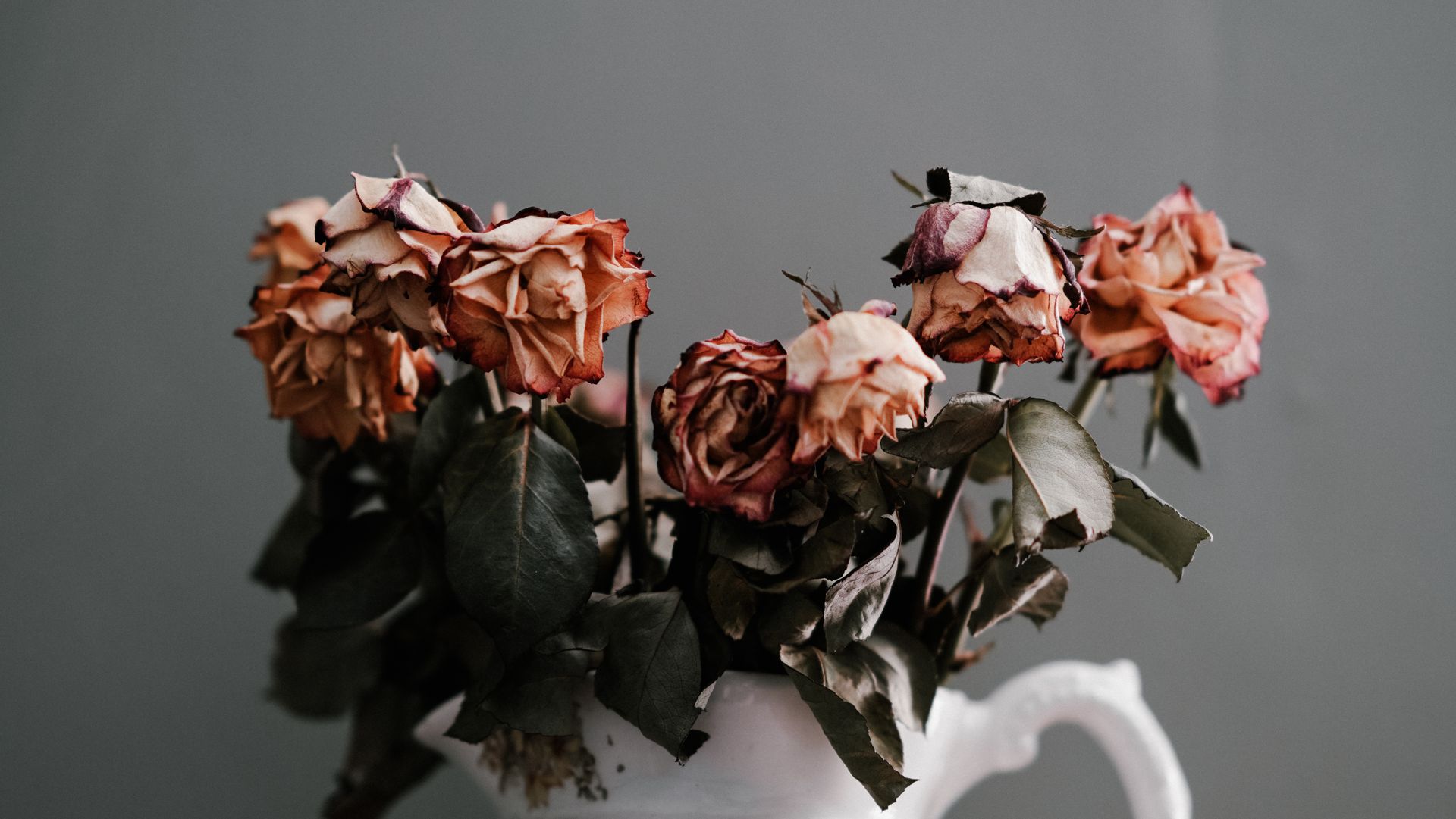 Less than a dozen wilting, light-pink rose flowers kept in a barely visible white-colored vase.